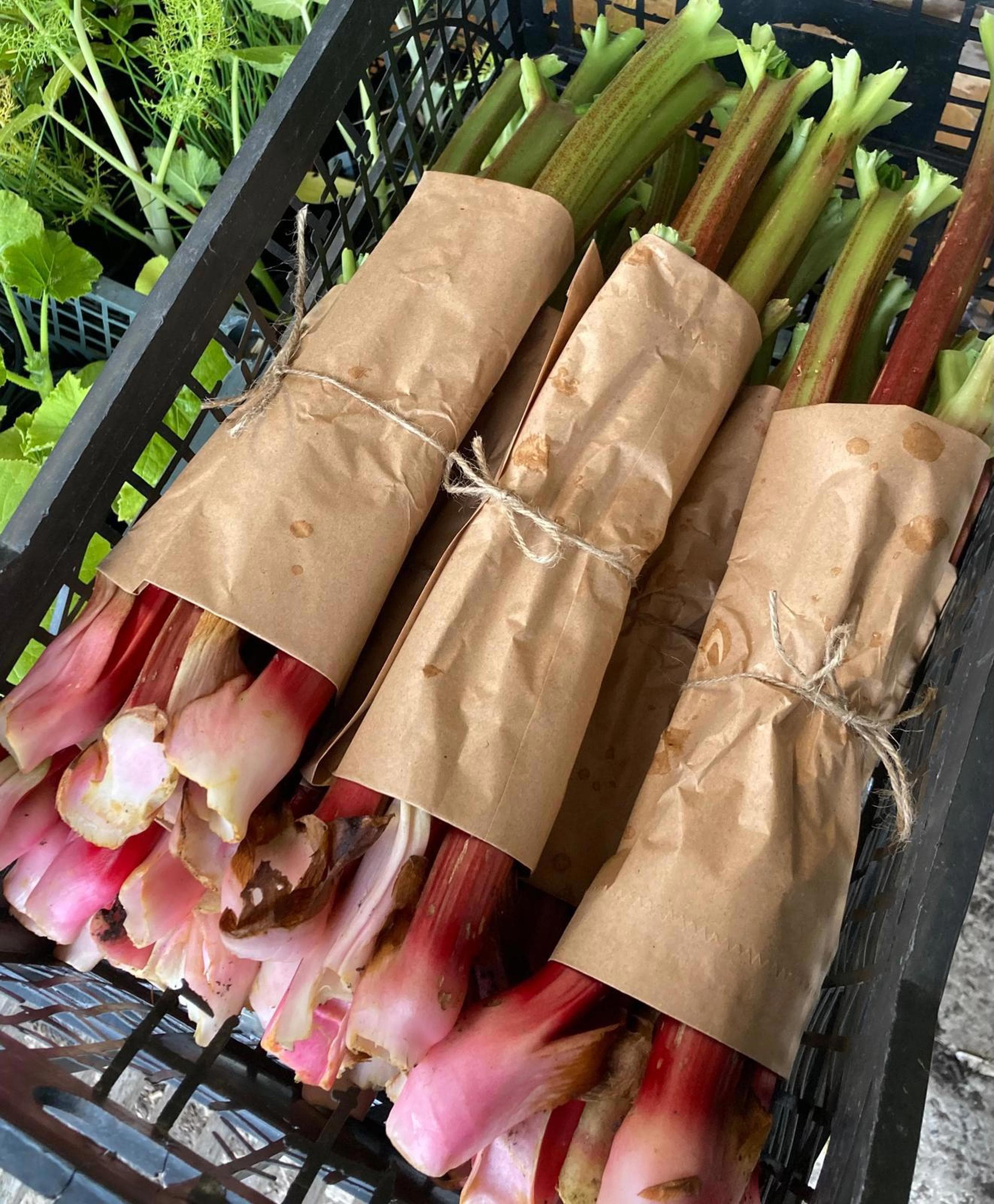 Rhubarb