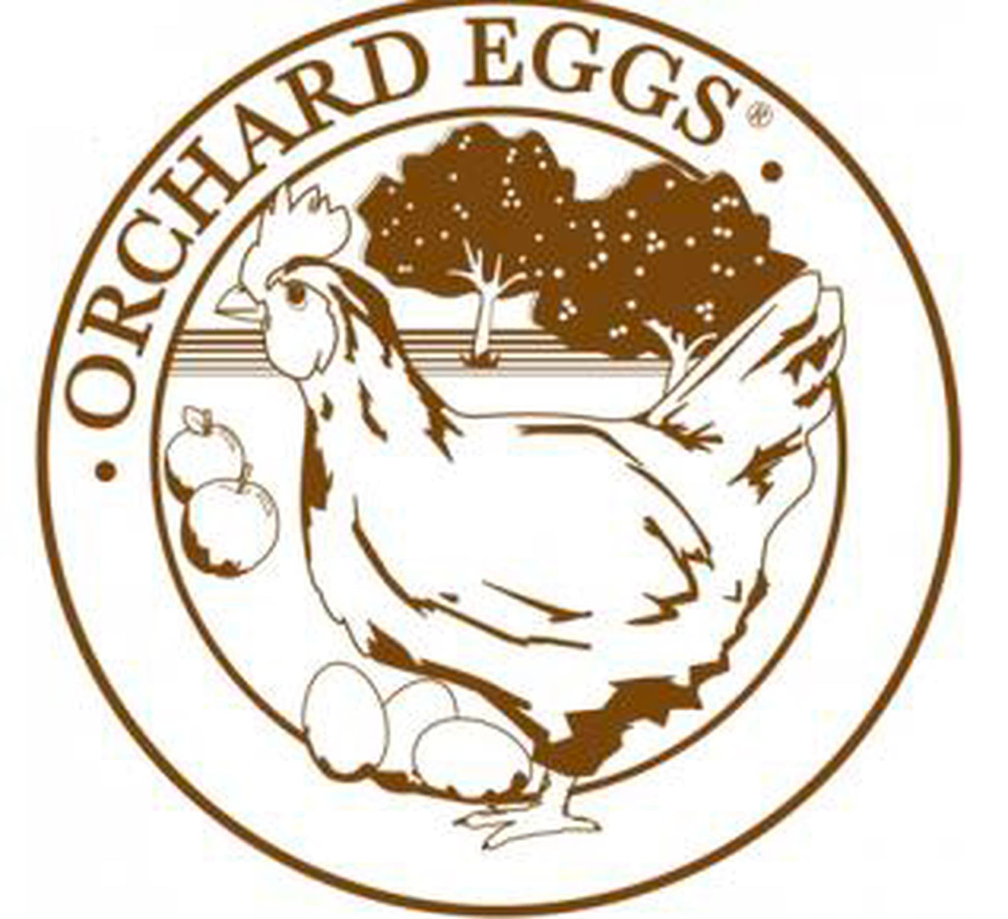 Organic biodynamic eggs