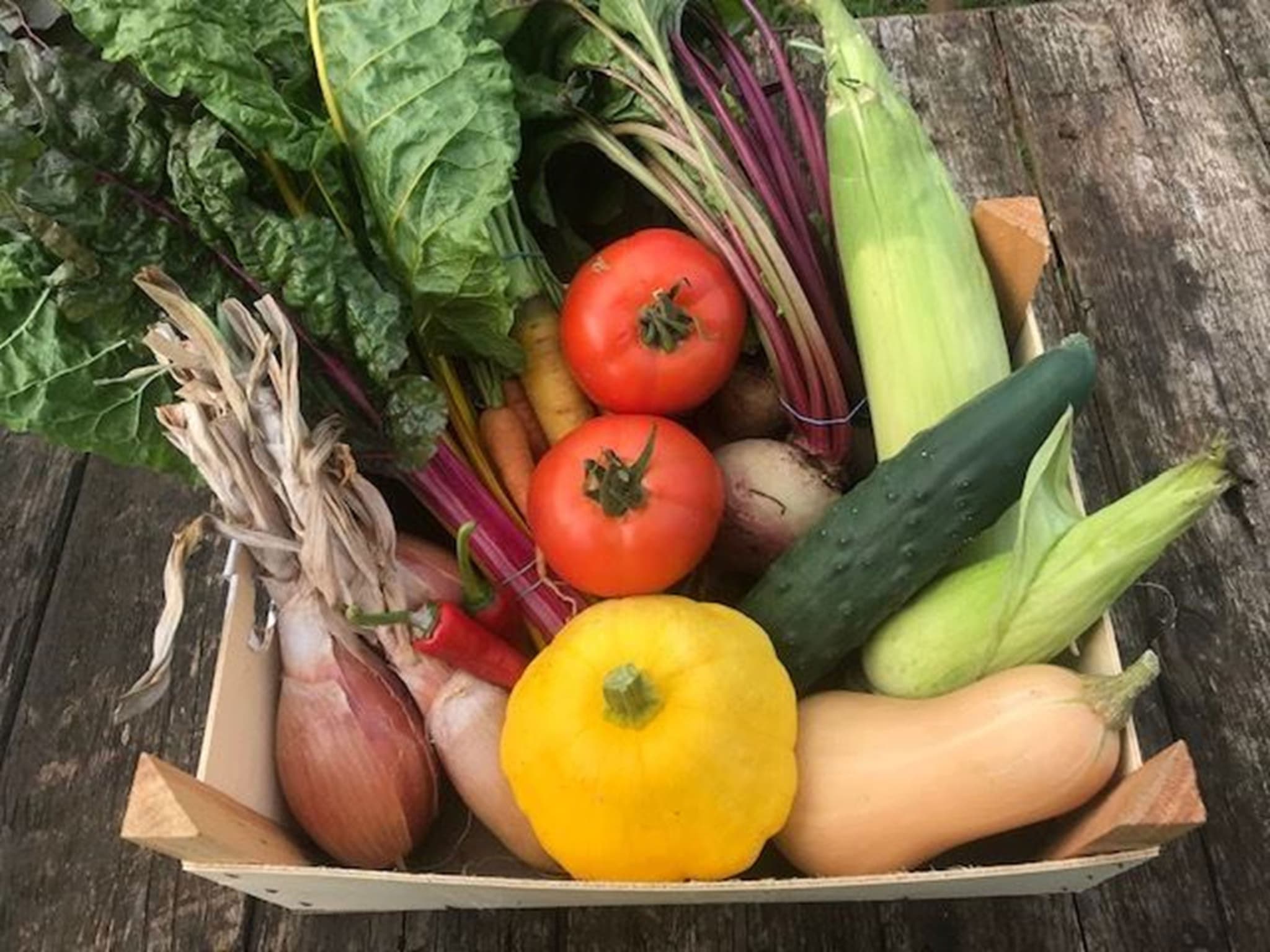 Large Veg Boxes